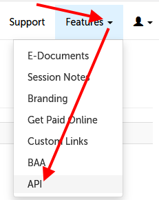 Arrow pointing to "Features" and then "API"